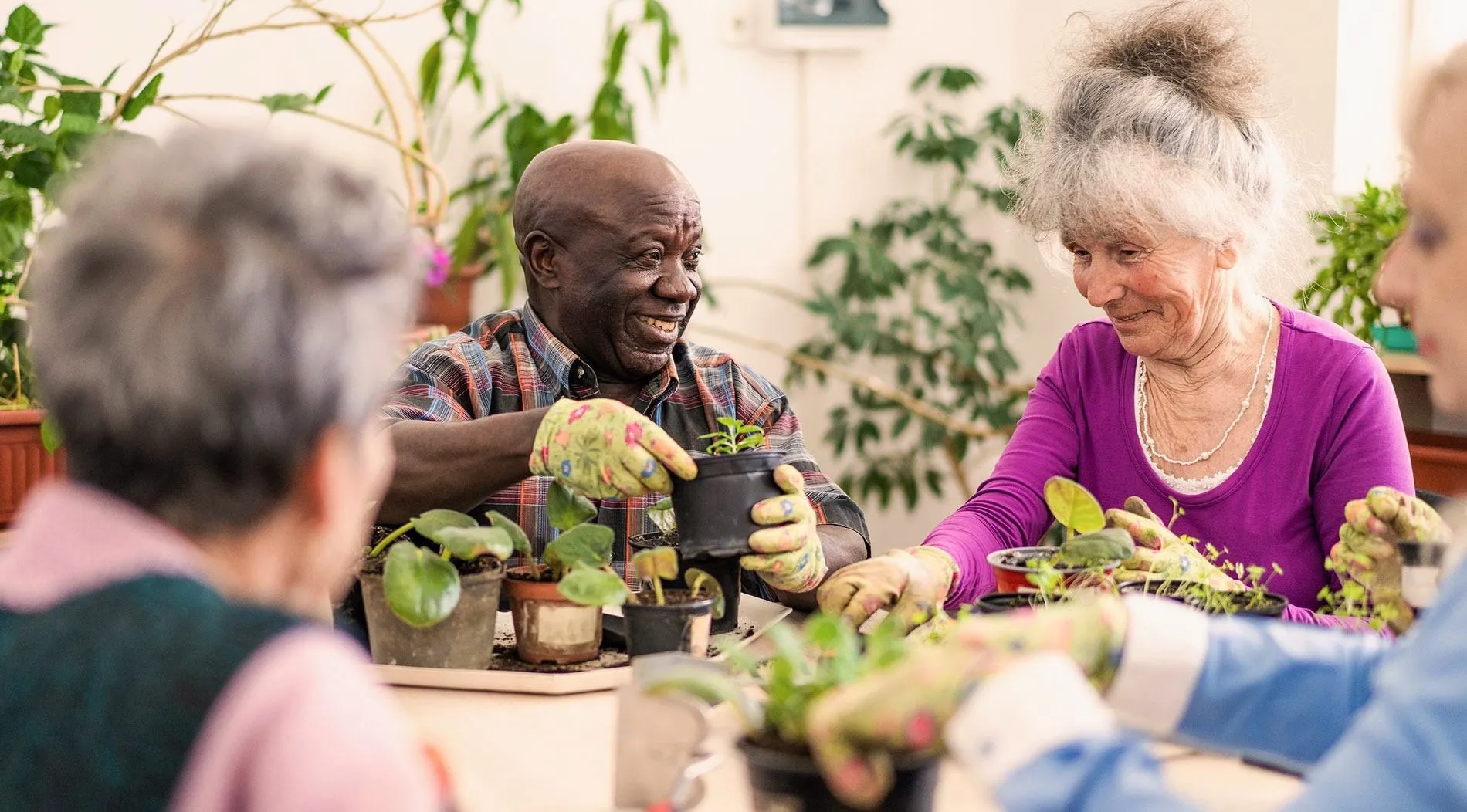 Older adults potting plants together at a gardening table